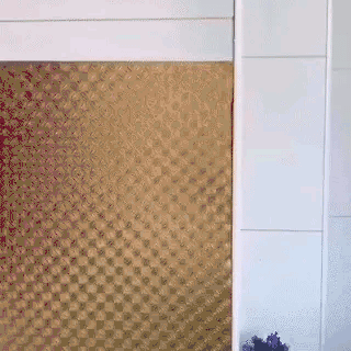 Self-Adhesive Sticker